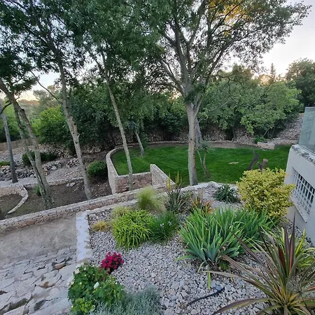 Thais Villa Nimes